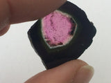 18.5x22mm Rare Watermelon Tourmaline Rough Slice, OOAK Slice For Jewelry