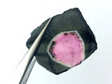 18.5x22mm Rare Watermelon Tourmaline Rough Slice, OOAK Slice For Jewelry