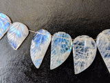 6x12 mm-14x20 mm Rainbow Moonstone Leaf Hand Carved Beads, Natural Moonstone