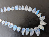 6x12 mm-14x20 mm Rainbow Moonstone Leaf Hand Carved Beads, Natural Moonstone