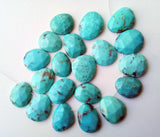 13.5-16mm Arizona Turquoise Rose Cut Cabochons, Drilled Turquoise Free Form