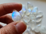 14-16mm Rainbow Moonstone Pear Shaped Plain Both Side Flashy Blue/White