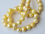 7.3mm-7.7mm Yellow Gold Color Pearls, Sea Cultured Rondelle Pearls, Gold Pearls