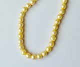 7.3mm-7.7mm Yellow Gold Color Pearls, Sea Cultured Rondelle Pearls, Gold Pearls