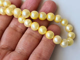 7.3mm-7.7mm Yellow Gold Color Pearls, Sea Cultured Rondelle Pearls, Gold Pearls