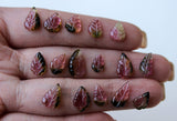 9-11mm Bio Tourmaline Leaf Shape Hand Carved Cabochons Rare Natural Watermelon