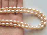 8x6mm Natural Pearls, Natural Fresh Water Rice Pearls, Peach Color Pearls