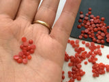 2-3mm Italian Coral Round Flat Back Cabochons Original Natural Coral For Jewelry