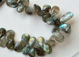 8x12 mm-9x13 mm Labradorite Faceted Pear Beads, Briolettes Pear For Jewelry