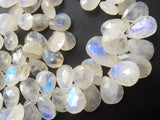 14x17 mm-11x14 mm Rainbow Moonstone Faceted Pear Beads, Rainbow Moonstone