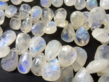 14x17 mm-11x14 mm Rainbow Moonstone Faceted Pear Beads, Rainbow Moonstone